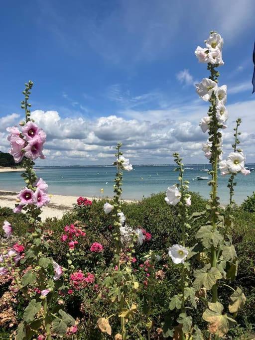 Appartement Belles Vacances Quiberon Exterior photo